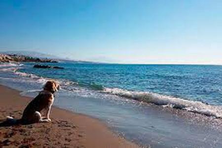 Appartamento Magnificent Front Sea Views *